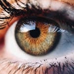 A detailed close-up image of a brown hazel human eye, showcasing the iris and eyelashes.