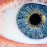 Detailed macro of a human eye showcasing the iris and pupil.