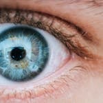 Detailed macro shot of a blue human eye reflecting surroundings.